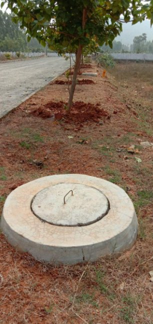 nandanavanam prasiddha Plot