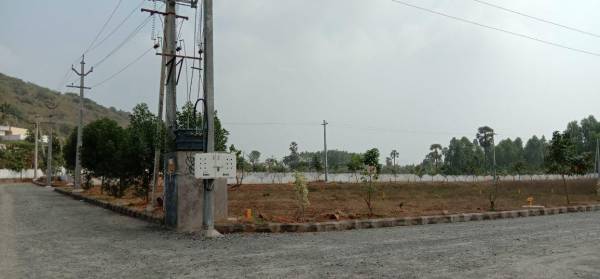  nandanavanam-prasiddha Plot