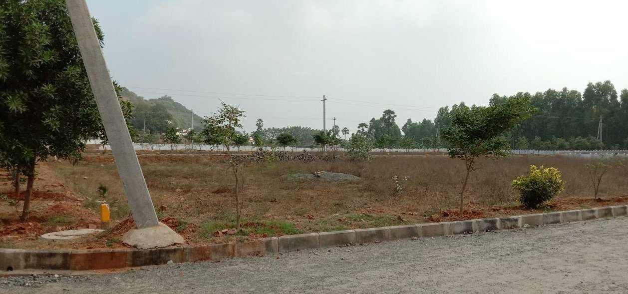 nandanavanam prasiddha Plot