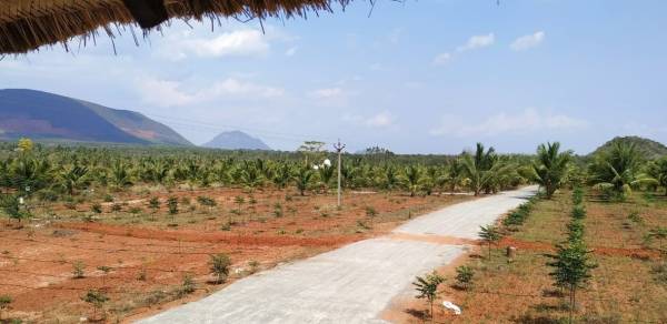 Elevation charan-farmlands Elevation