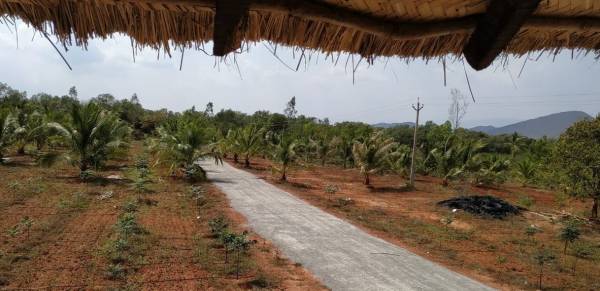 Plot charan-farmlands Plot