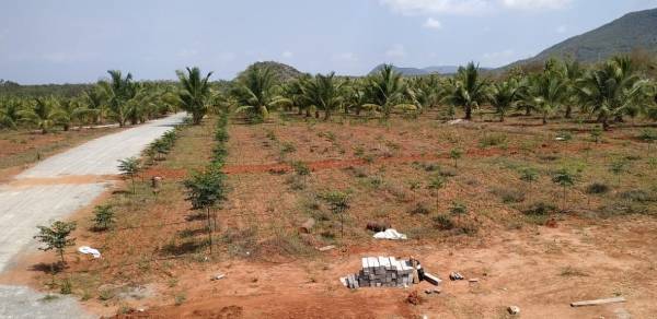 Plot charan-farmlands Plot