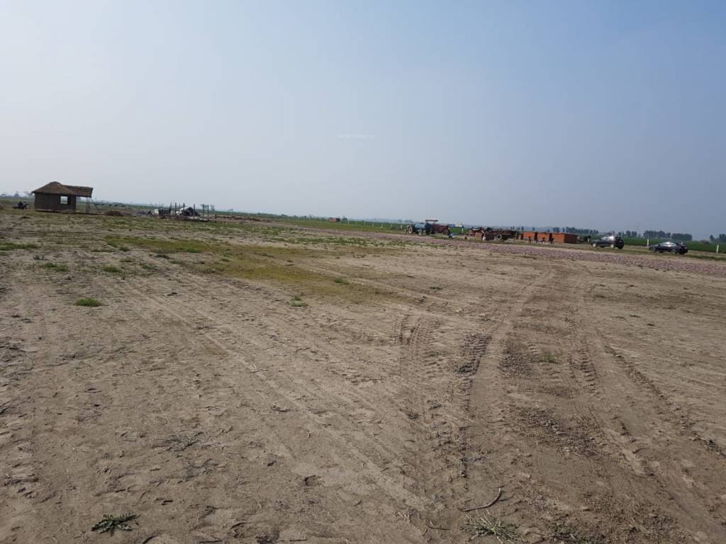  country farm Elevation