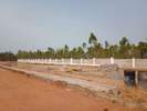 Residential Plots