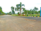 Brindavan Gardens