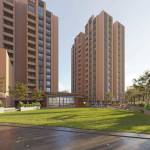  elanza Landscape Garden and Tree Planting