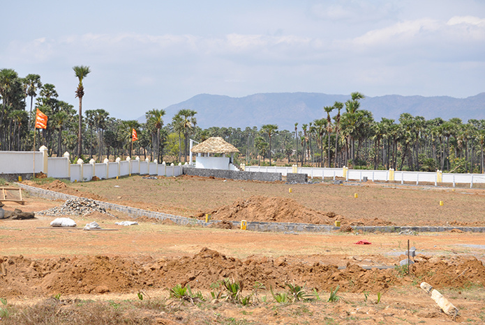 sai vanam Plot