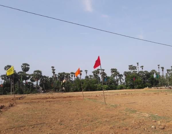 Elevation nsp-lahari-avenue Elevation