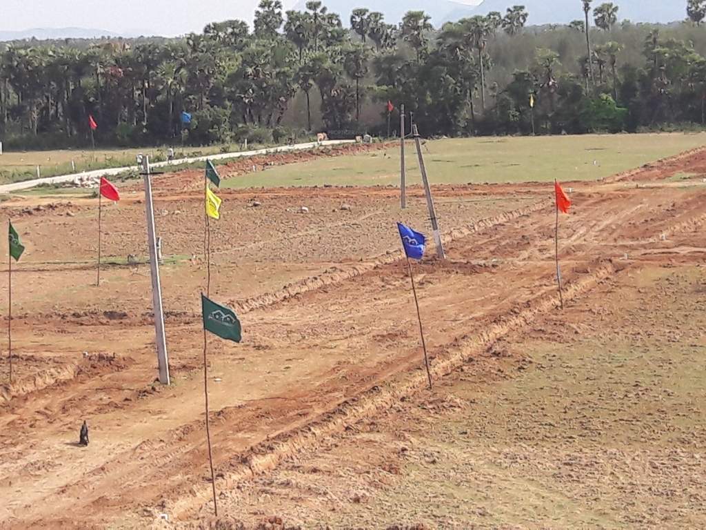  nsp lahari avenue Plot