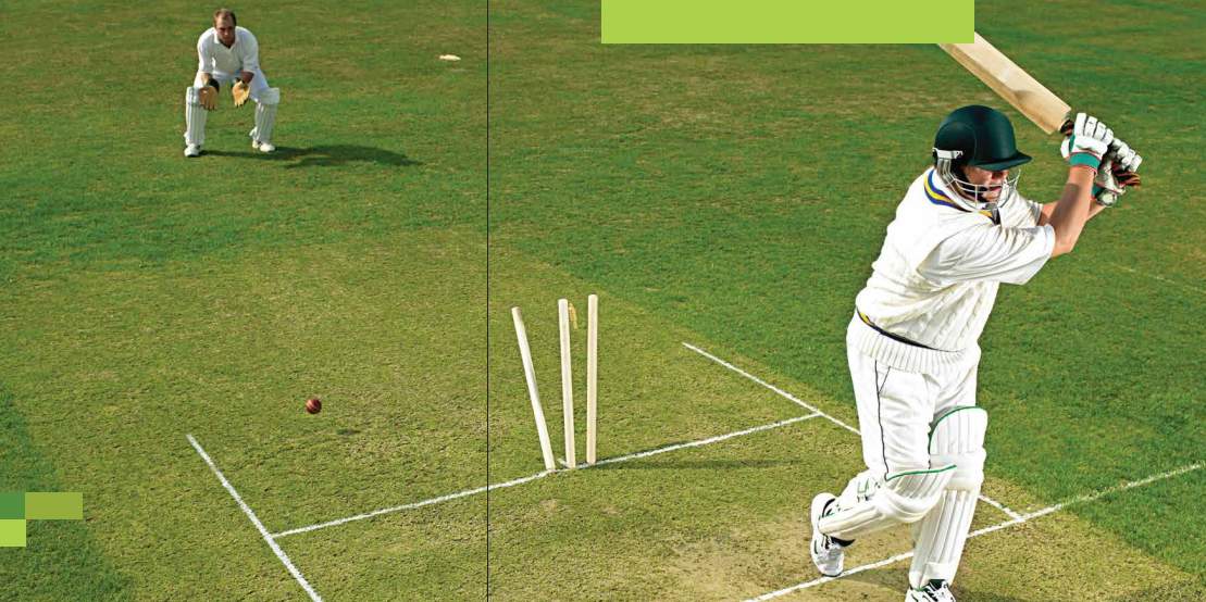 crown splendora Cricket arena