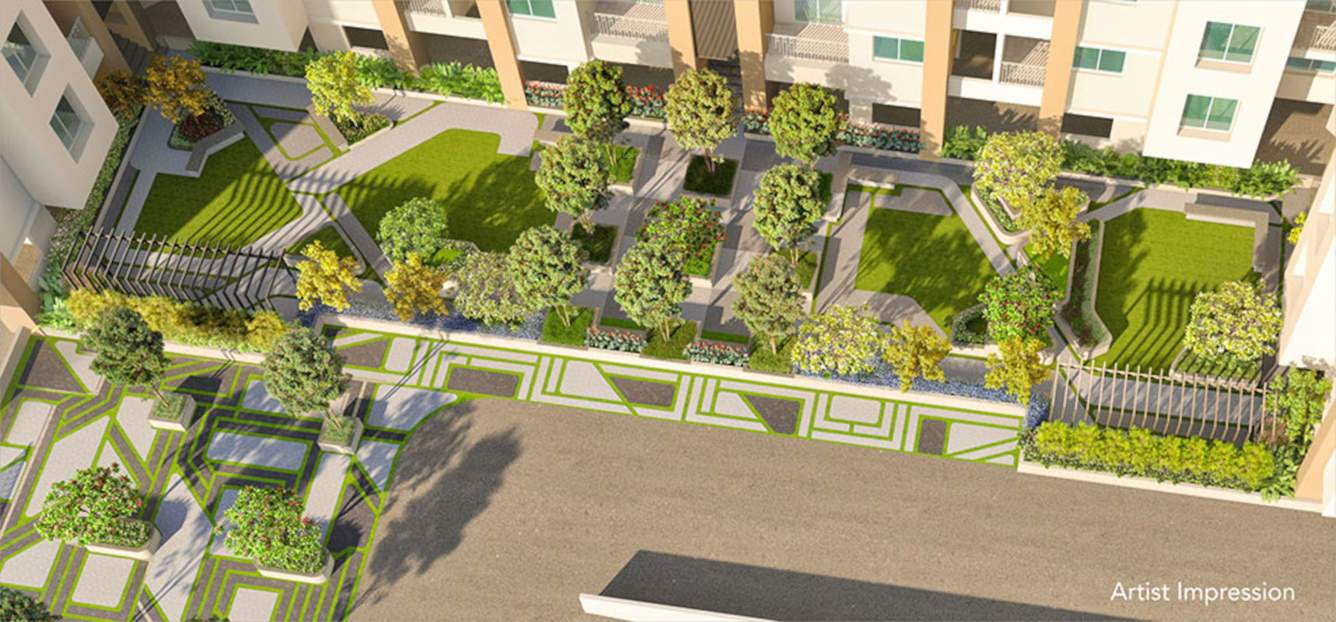  palladium plus Landscape Garden and Tree Planting