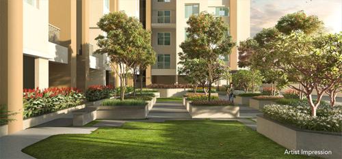  palladium-plus Landscape Garden and Tree Planting