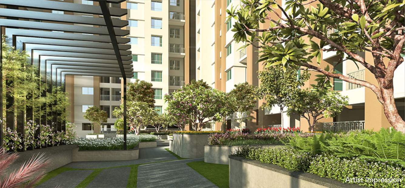  palladium plus Landscape Garden and Tree Planting