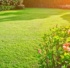  samruddhi Landscaped Gardens