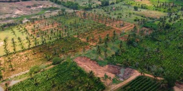  ayush-green-farms Plot