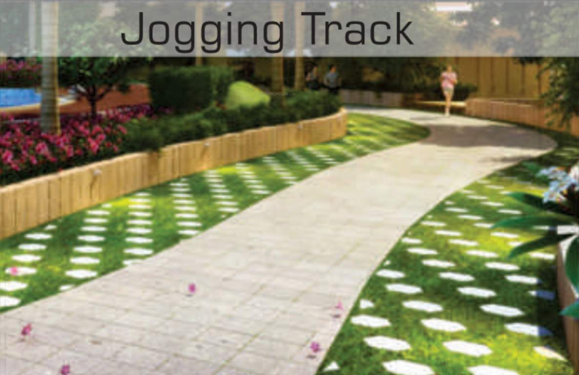  city Jogging Track