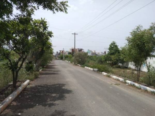  nova-pavilo Internal Roads