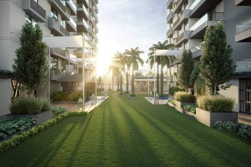  solitaire Landscape Garden and Tree Planting