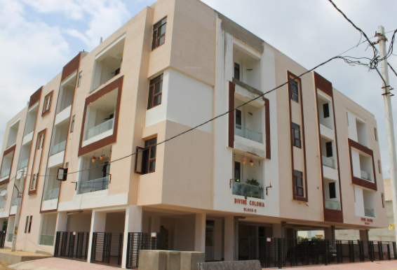  divine colonia Elevation