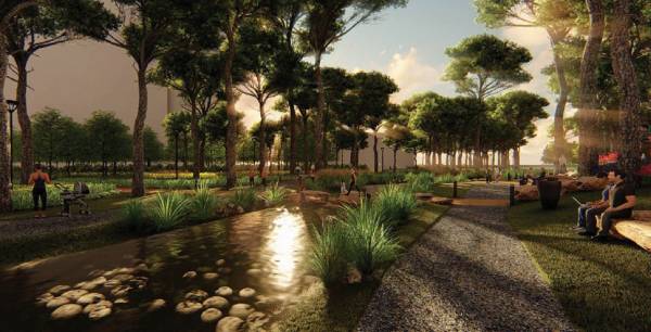  krypton Landscape Garden and Tree Planting