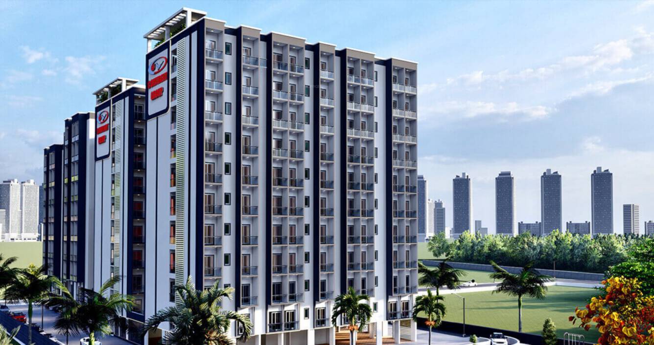  confident meadows Elevation