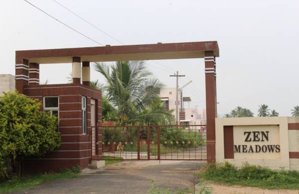  cosmic-zen-meadows Elevation