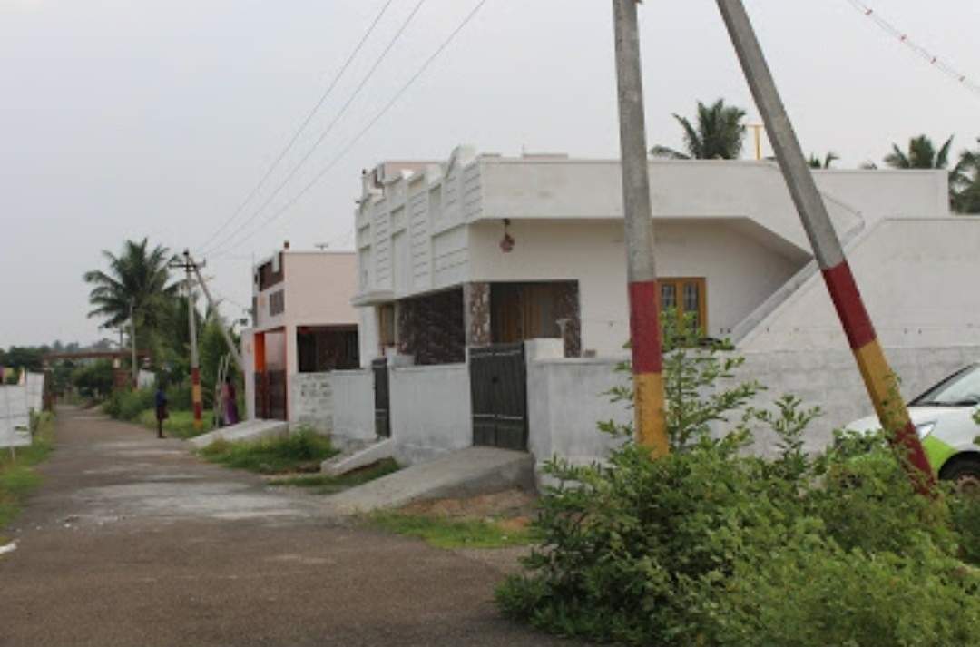  cosmic zen meadows Plot