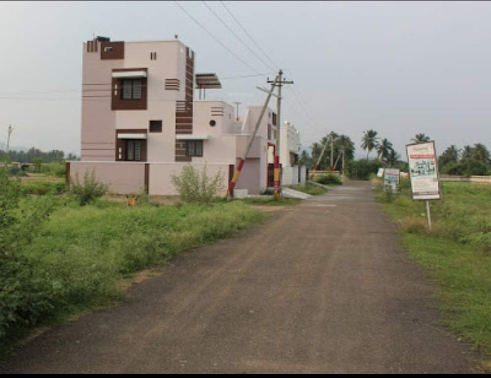  cosmic zen meadows Plot