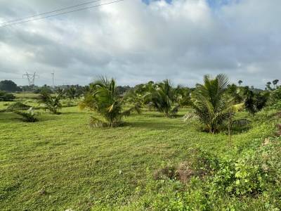  thamizhvanam-kk-maestro Plot