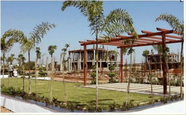 Others sage-milestone-phase-i-a Others