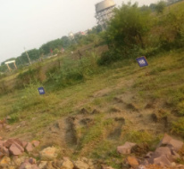 sage milestone phase i a Plot