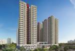  avonvista-project-4 Elevation