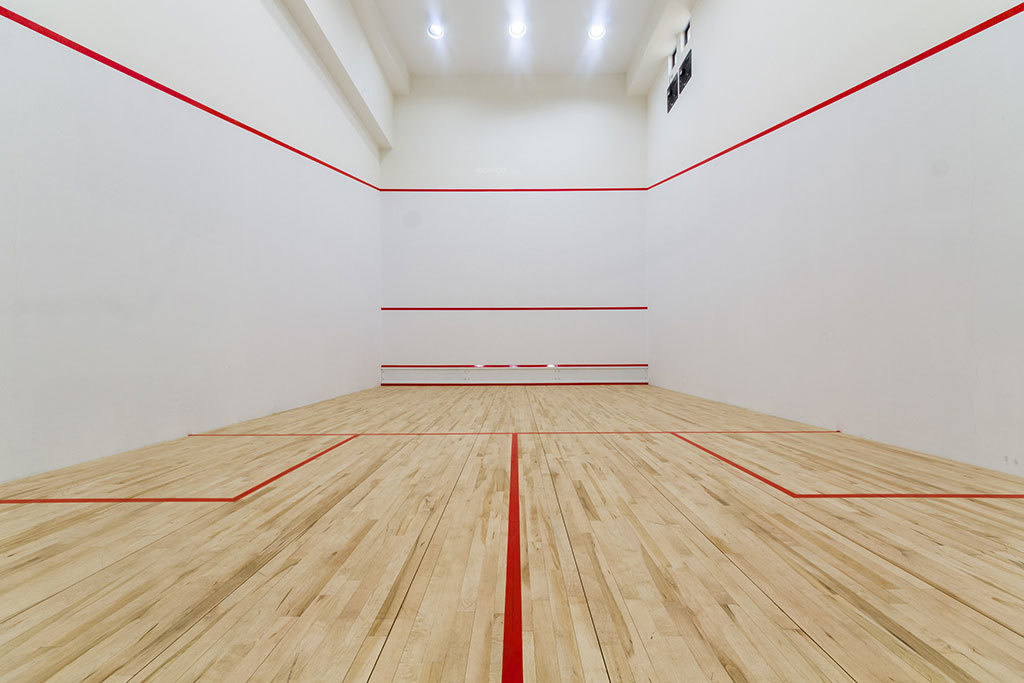 avonvista project 4 Others