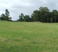 arshi new golden city Plot