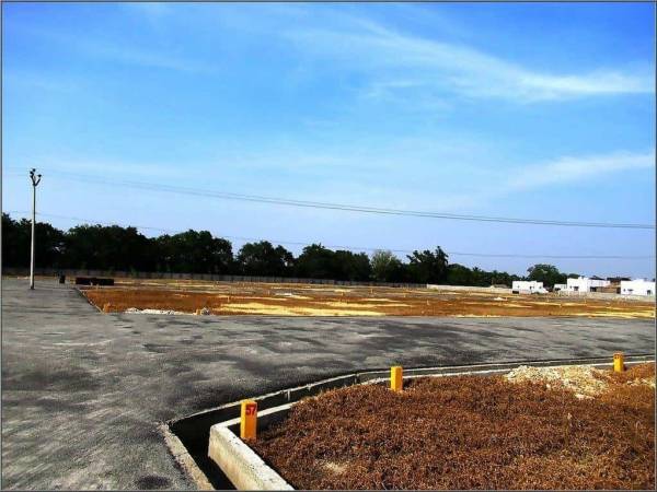 Plot green-sands Plot