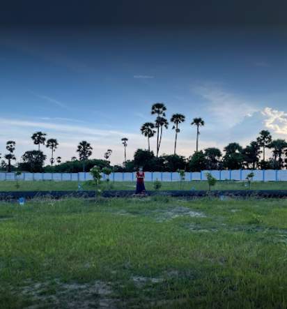  signature city phase ii Elevation