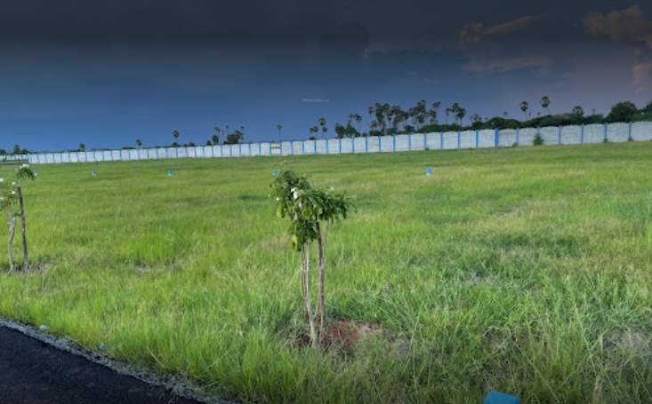  signature city phase ii Elevation