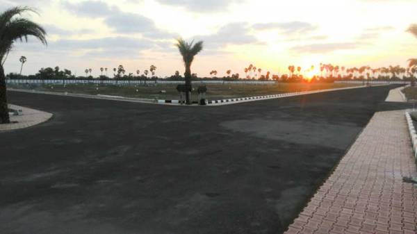  signature-city-phase-ii Plot