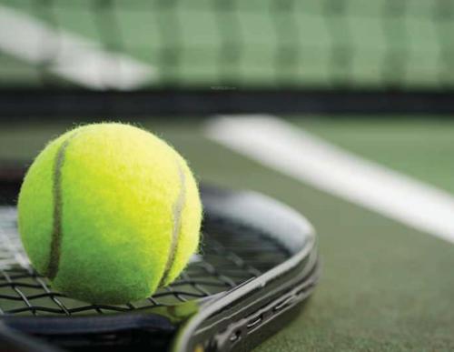 Badminton Court global-city-phase-v Badminton Court