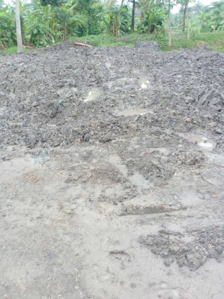  amgachia-abasan Plot