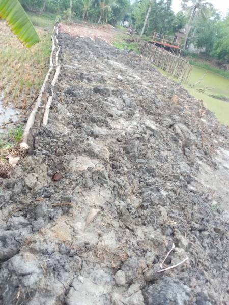  amgachia-abasan Plot