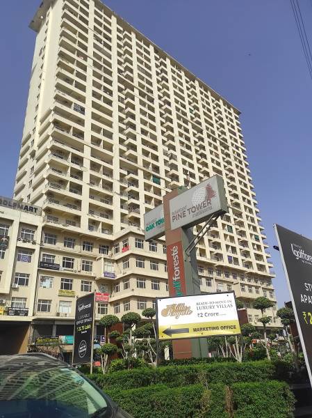 Elevation pine-and-oak-studio Elevation