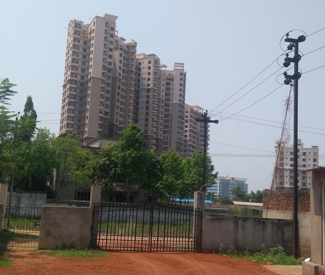  palav green Plot