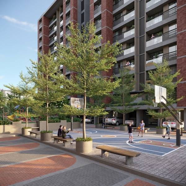 Others serene-elegancy Others