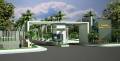 Privilege Projects Green Groves