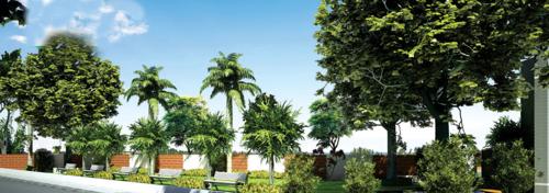  green-groves Senior Citizen Siteout