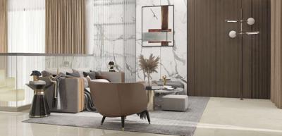  sapphire Living Area