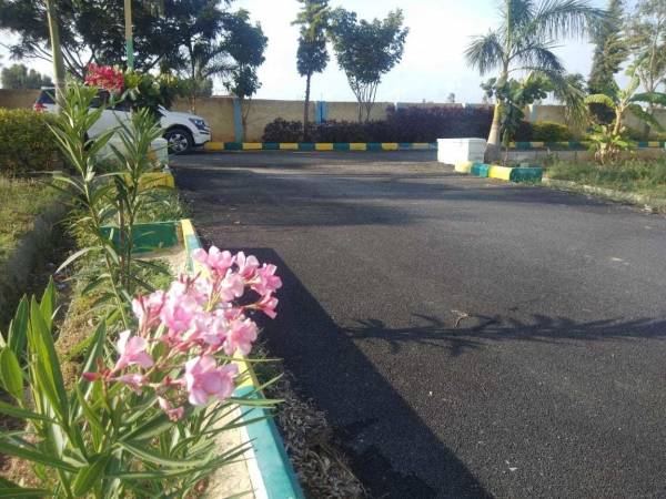  royal-palms-conquer-enclave Others