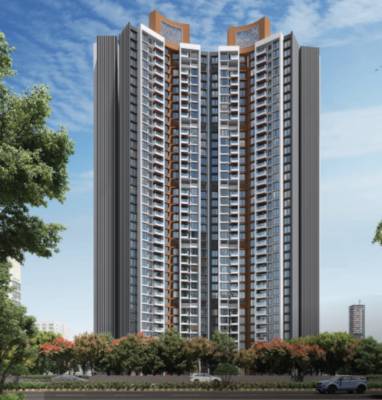  codename-limited-edition Elevation