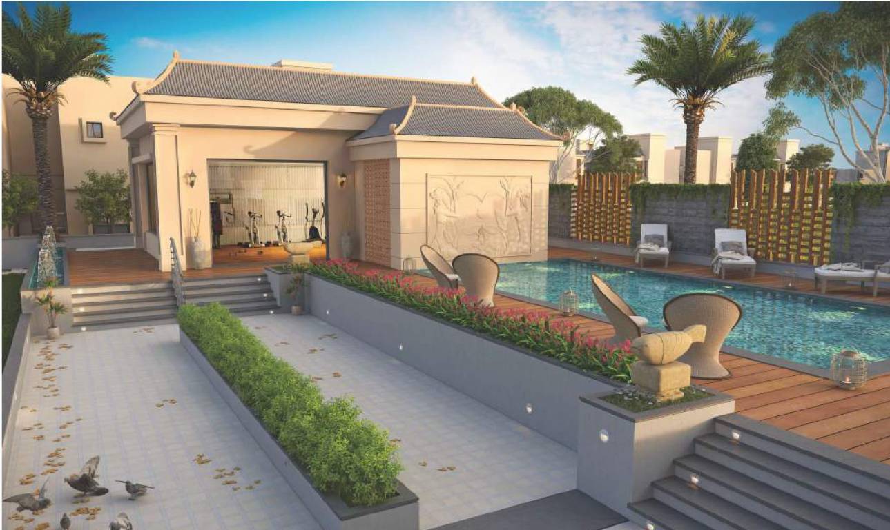 new county Swimming Pool